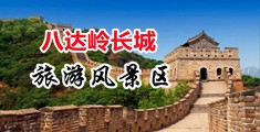 快被操死了视频网站中国北京-八达岭长城旅游风景区